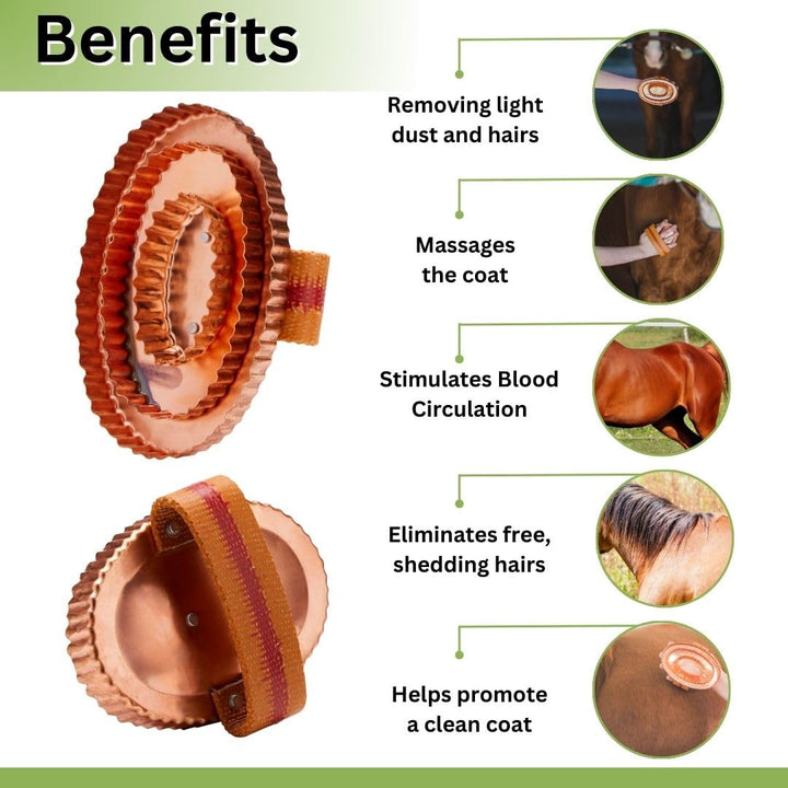 Oval Face Curry Comb Brush for Horse Grooming and Coat Care with Grip Handle