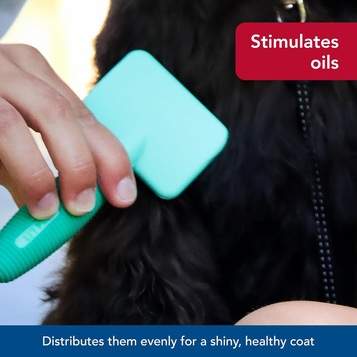 Pet Li'L Pals Dog Slicker Brush with Coated Tips - Dog Grooming Brush for Small Breeds & Puppies - One Size (3.25” X 7.25”)