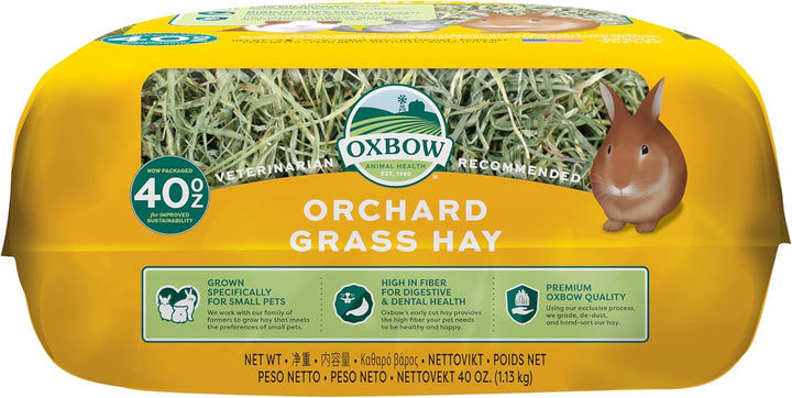 Orchard Grass Hay for Small Pets – All-Natural Long Strand Fiber Hay for Rabbits, Guinea Pigs, Chinchillas, and Hamsters – Supports Digestive Health and Enrichment – 40 Oz Bag