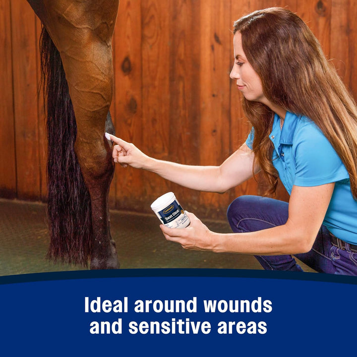 Swat Fly Repellent Ointment for Wounds, Sores, Scratches and Abrasions, 7 Oz