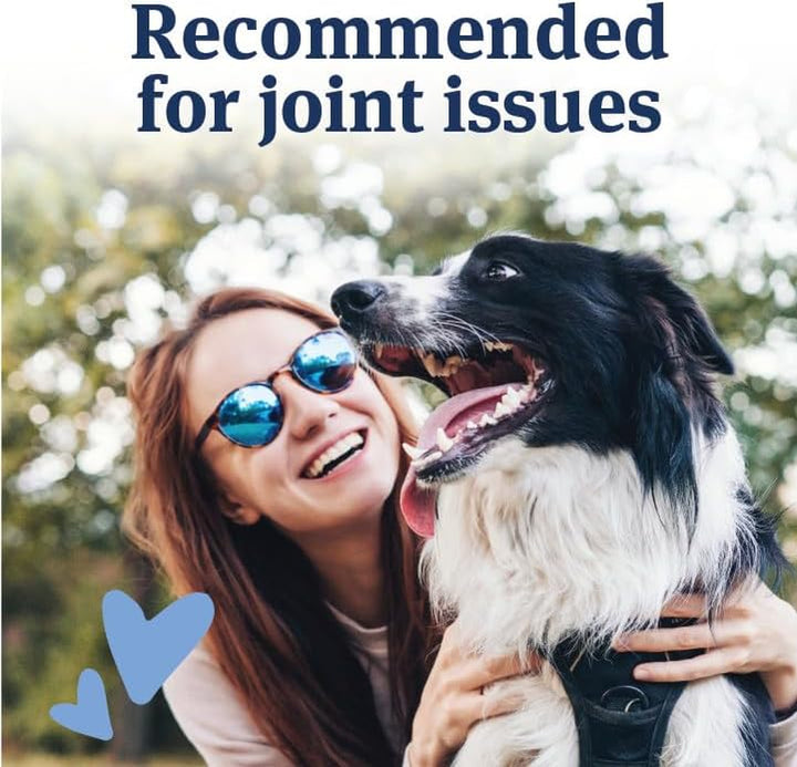 Aspirin for Large Dogs, Fast Acting Anti-Inflammatory and Pain Relief for Dogs, Vet-Quality Joint Support and Pain Meds for Dogs, 120 Liver Flavored Tablets