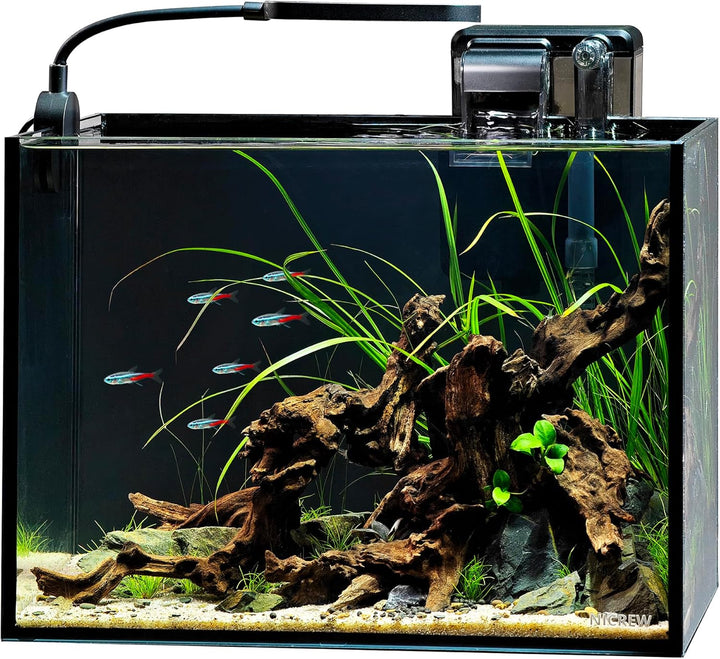 2.5 Gallon Nano Nature Aquarium Kit, Ultra-Clear Rimless Desktop Fish Tank with Light, Filter, Gravel and Rock, Perfect for Small Fish, Shrimp, or Betta, Complete Version, Black