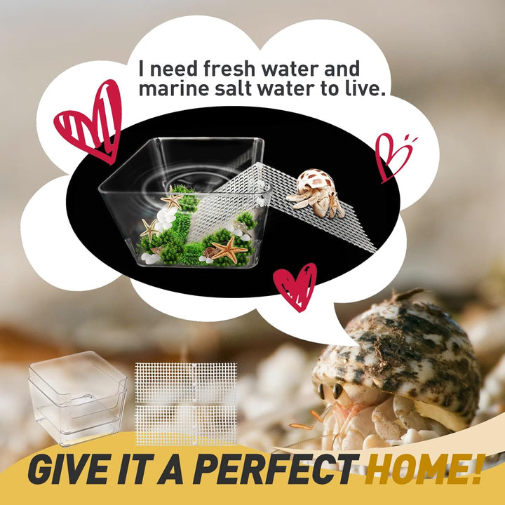 2 Packs Hermit Crab Pool - Ideal Hermit Crab Tank Combination - Pool with Cuttable Climbing Ramp