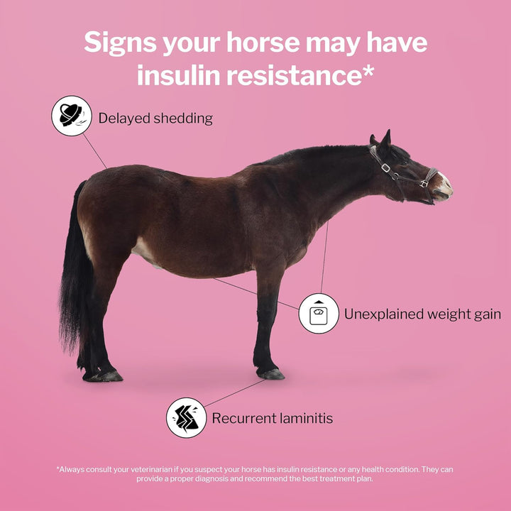 Metastable Pellets for Horses 5 Lb Bag – 40 Servings – University-Studied Support for Horses with Laminitis, Insulin Resistance & Metabolic Disorders