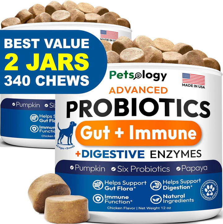Probiotics for Dogs - 170 Dog Probiotics Chews - Digestive Enzymes & Prebiotics - Support Gut Health, Diarrhea, Gas & Constipation Relief - Itchy Skin, Allergies, Yeast Balance - Advanced Supplement