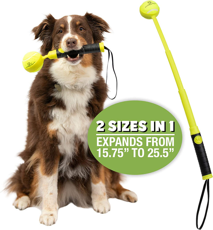 K9 Kannon Dog Ball Thrower Launcher for Dogs, All Breeds up to 60 Pounds, with One  2.5 Inch Tennis Ball, for All Breeds
