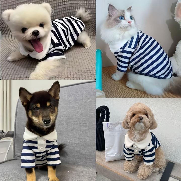 Cute Dog Clothes Boy Dog Polo Shirt for Small Medium Dogs - Summer Male Puppy T Shirts for Yorkie Poodle Shih Tzu Dachshund Kittens, Striped Collared Pet Doggie Designer Outfits Blue S