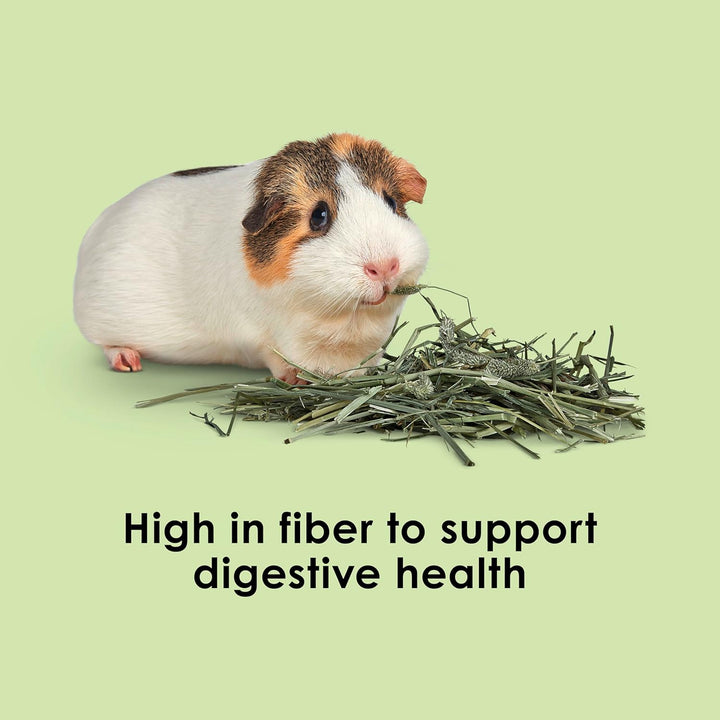 Timothy Hay, High Fiber, Grown Specifically for Small Animals, Rabbits, Guinea Pigs, Chinchillas, 2 Pounds