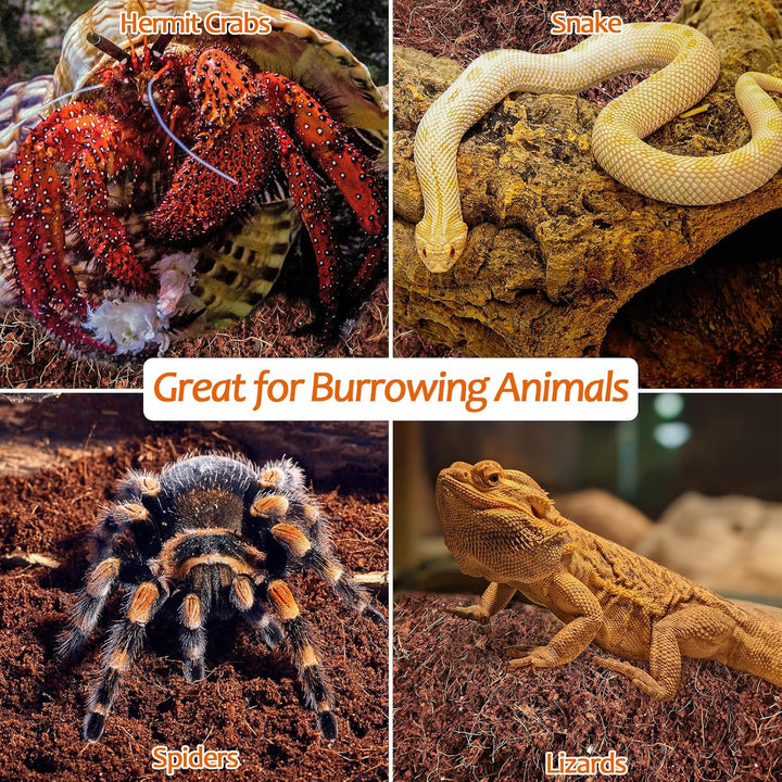2 Pack Natural Coconut Fiber Substrate for Reptile- Premium Compressed Coconut Husk Terrarium Bedding for Reptile, Tortoise, Frogs, Snakes Hermit Crabs, Burrowing Animals
