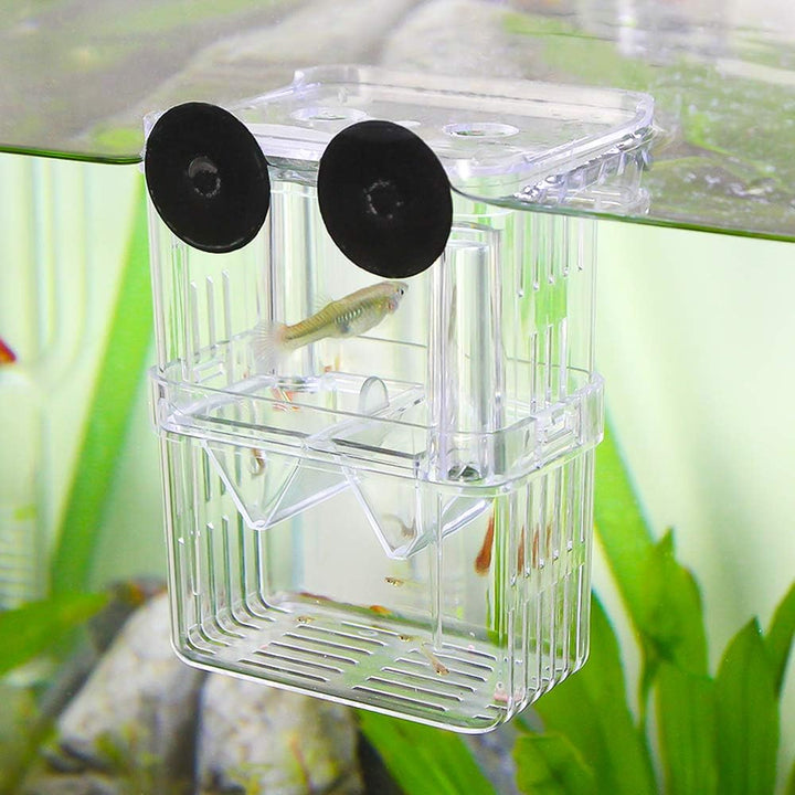 Aquarium Fish Breeder Box Plastic Fish Isolation Breeding Box Hatching Incubator Box for Baby Fishes Shrimp Clownfish Guppy