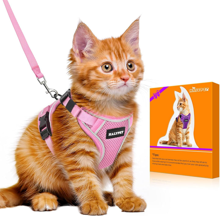 Cat Harness and Leash Set - MAX Safety 4Th-Gen Upgrade, Escape Proof, Adjustable, Comfortable Soft Vest, Easy to Wear Kitten Harness with Reflective Strip for Cats Walking - Small Black