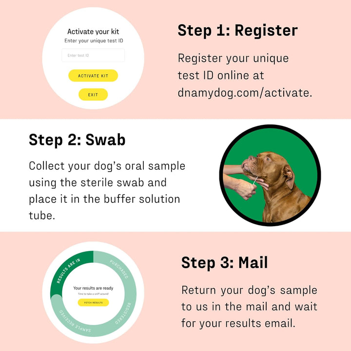 Vet-Recommended and Most Accurate Allergy Test for Itchy, Sensitive Dogs | Cheek Swab – the Gold Standard of Testing | Tests for All Common Food & Environmental Allergens | Custom Report