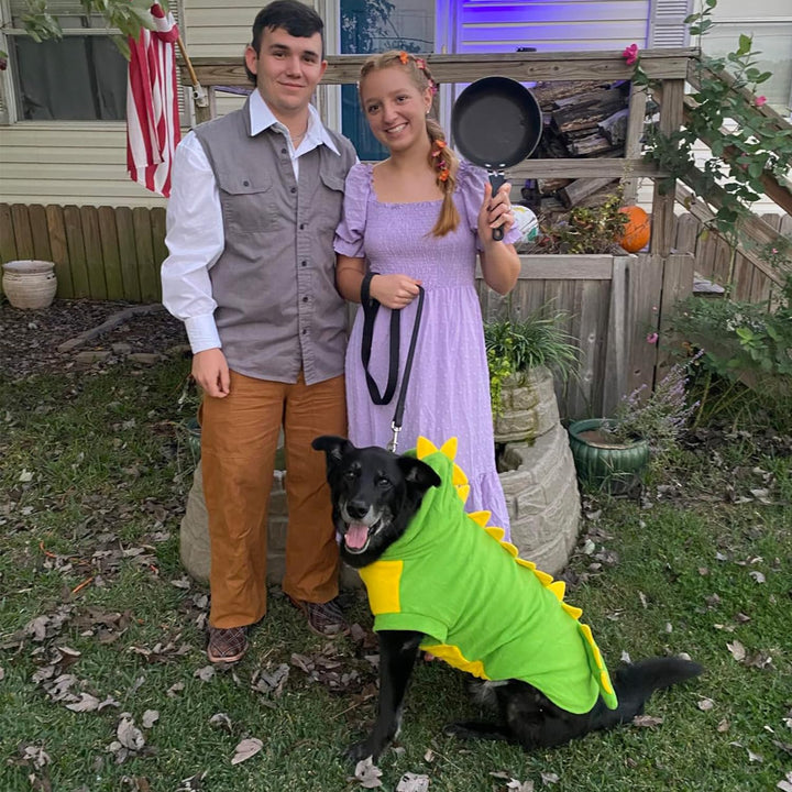 Funny Halloween Large Dog Dinosaur Costume Outfits,Dog Pajamas Hoodie Winter Warm Pet Clothes Coat for Golden Retriever Pitbull(Green, 7XL)