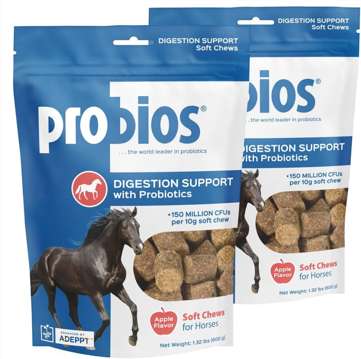 for Horses Soft Chews, Daily Probiotic Supplement for Gut Health, Digestion & Immune Support, Horse Supplies, Apple Flavor, 1.32 Lbs (600 Grams)