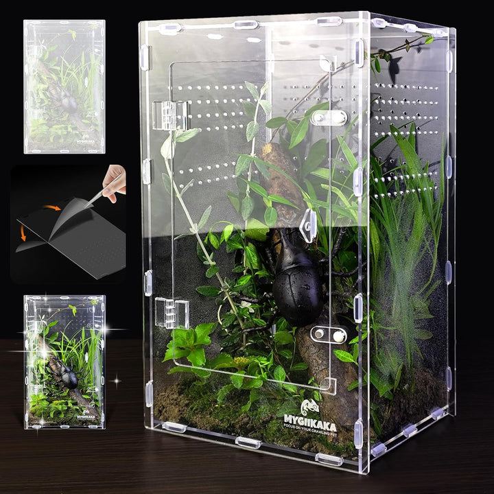 Acrylic Jumping Spider Habitat, Insect Terrarium, Bug Enclosure, Praying Mantis Habitat, Frog Enclosure