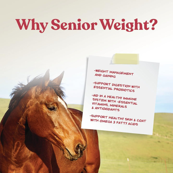 Weight Accelerator for Senior Horses – Weight Gain and Muscle Support Supplement with Omega 3 Fatty Acids and Flaxseed – High-Calorie Feed Topper for Horses – 8 Lb Bag
