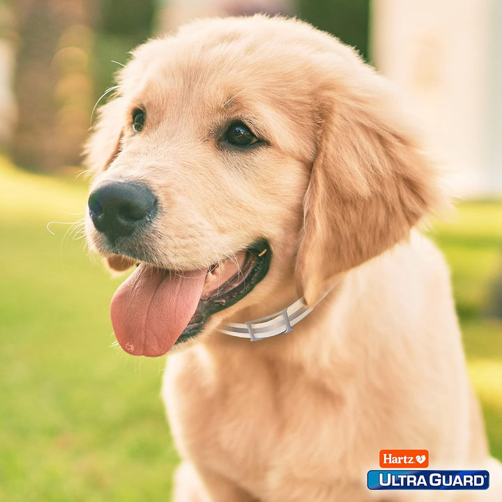 Ultraguard Pro Reflective Flea & Tick Collar for Dogs and Puppies, 7 Month Flea and Tick Prevention per Collar, 1 Count