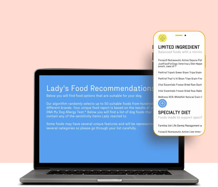 Vet-Recommended and Most Accurate Allergy Test for Itchy, Sensitive Dogs | Cheek Swab – the Gold Standard of Testing | Tests for All Common Food & Environmental Allergens | Custom Report