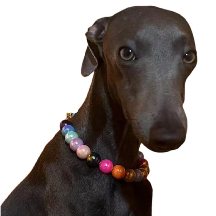 Dogs Necklace,Pet Fashion Necklace, Colorful Beaded Necklace,Pet Jewelry,Vibrant Candy-Colored Pet Jewelry Necklace for Cats and Dogs(12.6-14.57 Inches)