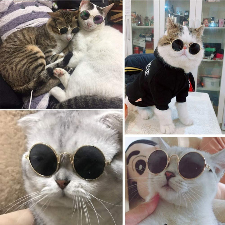 2Pcs Random Color Small Cat Kitten Glasses Pet Glasses Dog Sunglasses Pet Supplies Kittens Pet Sunglasses 3 Cm/1.1 Inch Cosplay Costume Photos Props