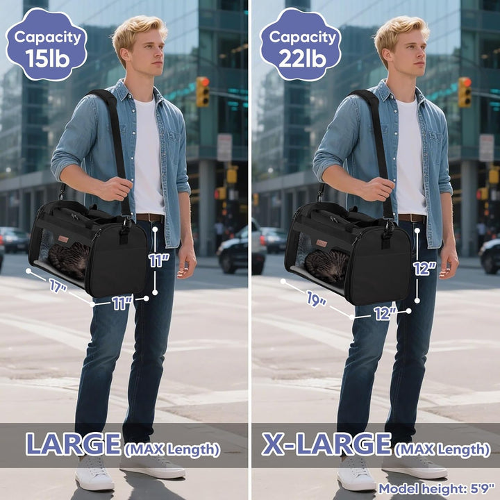 Cat Carrier, Puppy Dog Carrier for Small Medium Pets up to 15 Lbs, Soft-Sided Dog Travel Bag with Safety Zippers, Collapsible Pet Carrying Case (Black, L, 17"X11"X11")