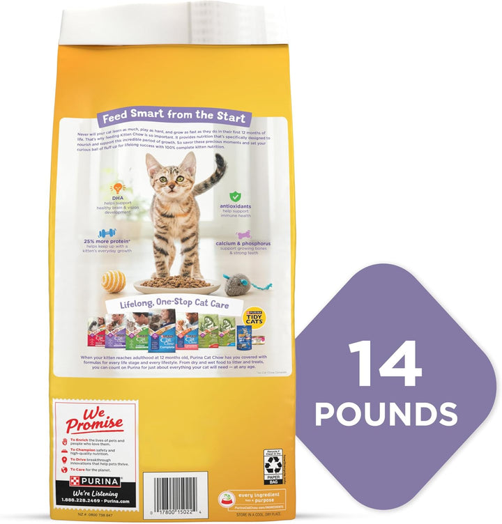 Purina Kitten Chow Dry Cat Food