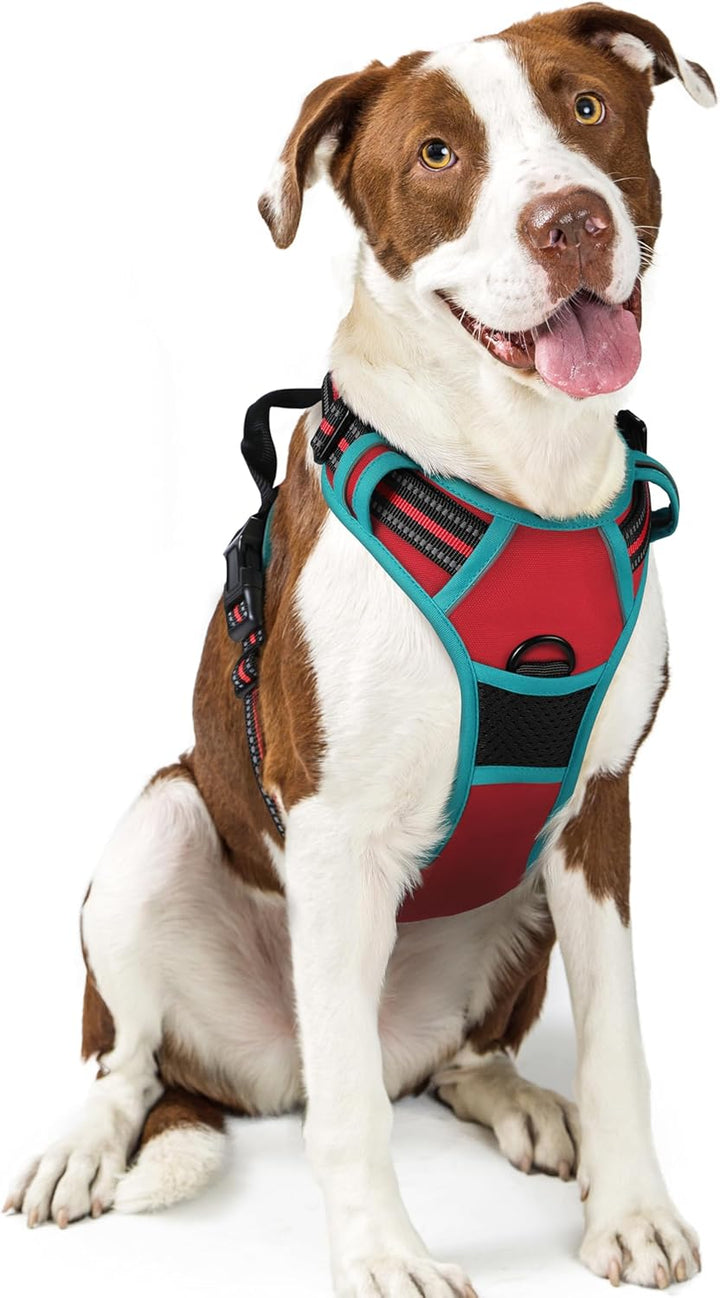 Dog Harness No Pull with 2 Leash Clips, Adjustable Soft Padded, Reflective Oxford No Choke Pet Vest with Easy Control Handle for Large Dogs, Black, L