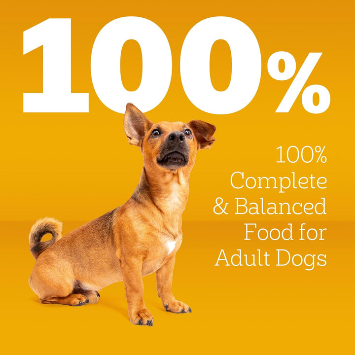 Complete Nutrition Adult Small Dog Dry Dog Food, Grilled Steak & Vegetable Flavor, 14 Lb. Bag