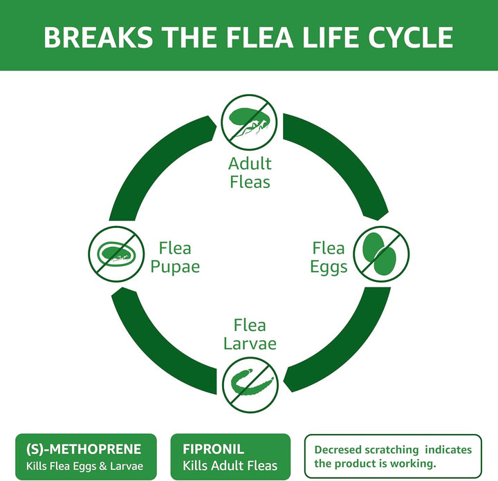 Flea and Tick Topical Treatment for Cats (Over 1.5 Pounds), 6 Count (Previously Solimo)