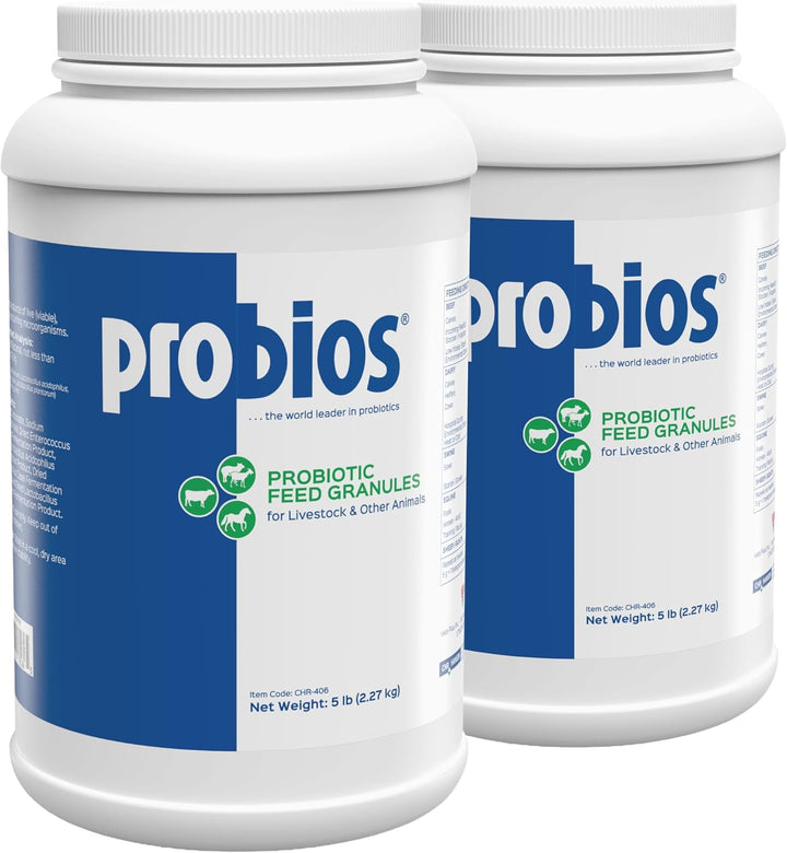 Digestive Support Probiotic for All Species, Probiotics for Gut Health, Dispersible Powder, 240 Gm