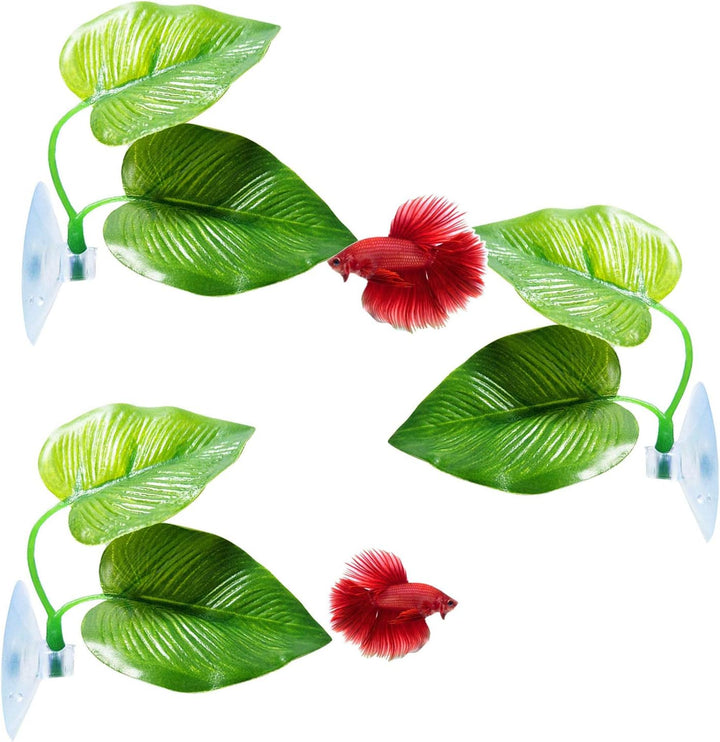 2 Pack Betta Fish Leaf Pad Improves Betta'S Health by Simulating the Natural Habitat - Natural, Organic, Comfortable Rest Area for Fish Aquarium Ornaments