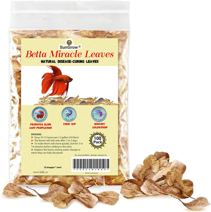 50 Pcs Catappa Indian Almond Leaves for Betta Fish Tank Aquarium, 2” Water Conditioner Leaves, Leaf Also Suitable for Shrimp, Goldfish, Guppy and Frogs