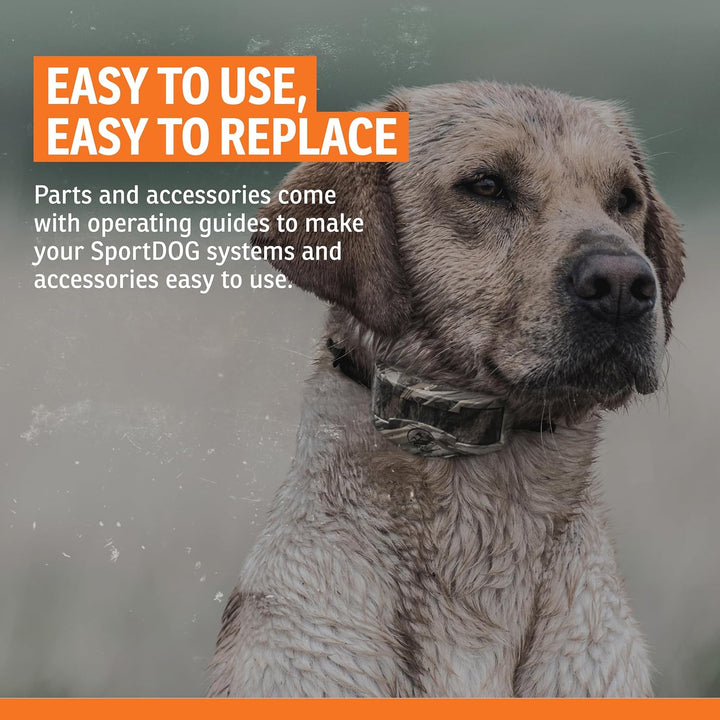 Brand Roy Gonia Special Whistle without Pea - Hunting Dog Training Whistle with Easy-To-Blow Design - Orange