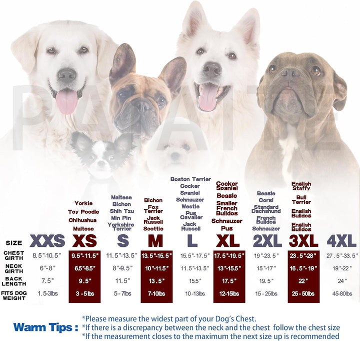 Blue Chihuahua Dog Hoodie: Keep Your Pup Warm and Stylish with a 'The Dog Face' Printed Sweatshirt, Pet Clothes, and Sweater Coat All in One - Perfect for Winter and Cool Summer Nights! M