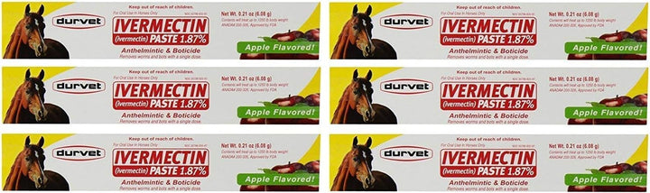 6 Pack of Ivermectin Paste, 0.21 Ounces Each, Apple Flavored Horse Wormer
