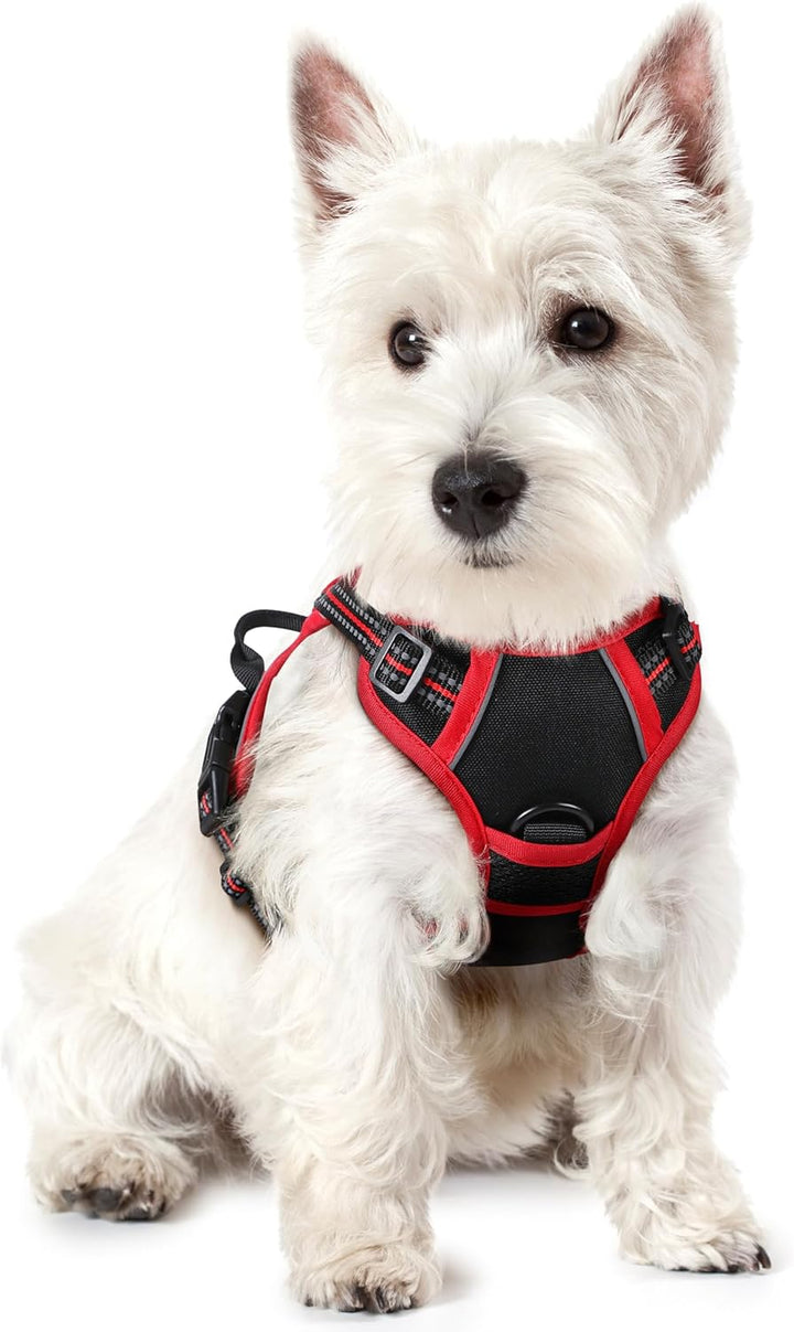 Dog Harness No Pull with 2 Leash Clips, Adjustable Soft Padded, Reflective Oxford No Choke Pet Vest with Easy Control Handle for Large Dogs, Black, L