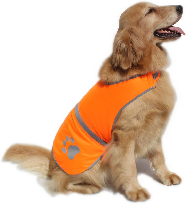 Dog Reflective Vest High Visibility Safety Jacket for Walking Running Hiking to Keep Dogs Visible Safe from Cars and Hunting Accidents Orange XL