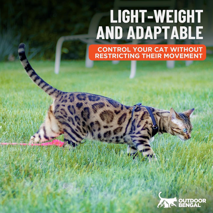 Houdini™ Escape Proof Cat Harness and Leash Set by  – Black, Medium Cat Harness for Walking