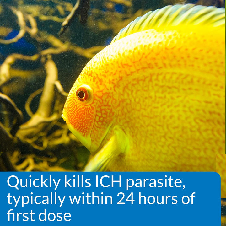 LIQUID SUPER ICK CURE Fish Remedy, Freshwater and Saltwater Fish Medication 4 Fl Oz(Pack of 1), White