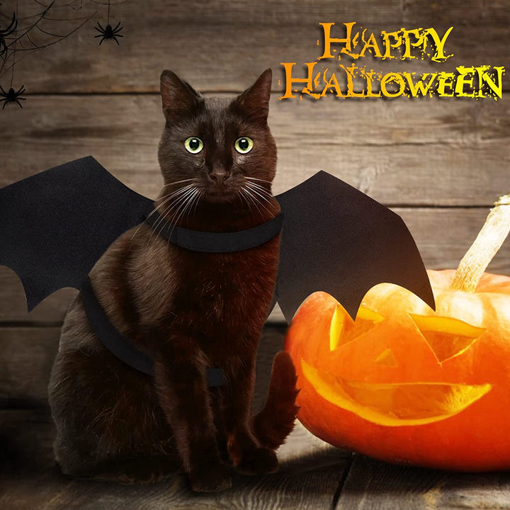Halloween Cat Costume for Cats Dogs Pet Bat Wings Cat Dog Bat Costume Wings