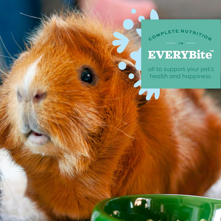 Essentials Guinea Pig Food, Adult Guinea Pig, Made with  Timothy Hay, Pet Food Pellets with Vitamin C, Small Animal Pet Products, Made in USA, High Fiber, 5 Lb. Bag