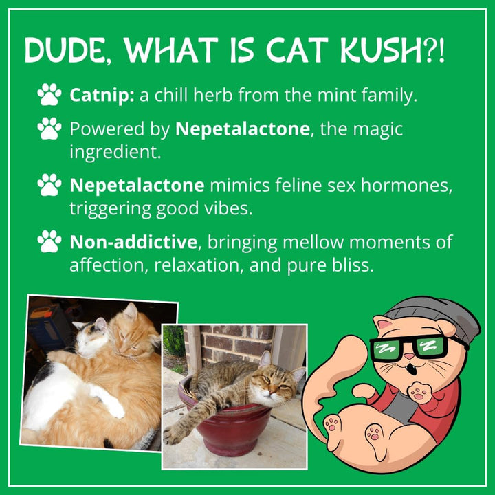 Organic Catnip by , Safe Premium Blend Perfect for Cats, Instilled with Maximized Potency Your Kitty Is Guaranteed to Go Crazy For! (1 Cup)