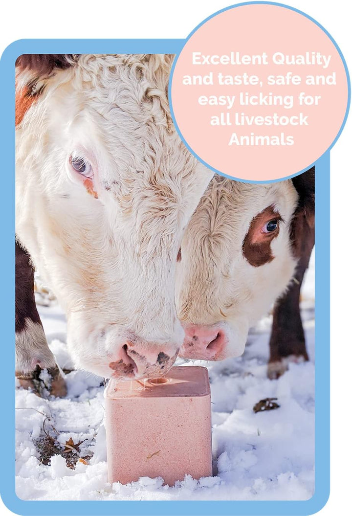 ® 11LB (5KG) Compressed Pink Himalayan Salt Lick | for Livestock and Wildlife Animals | 100% Pure & Natural Feed Salt Block | Natural Minerals and Trace Elements