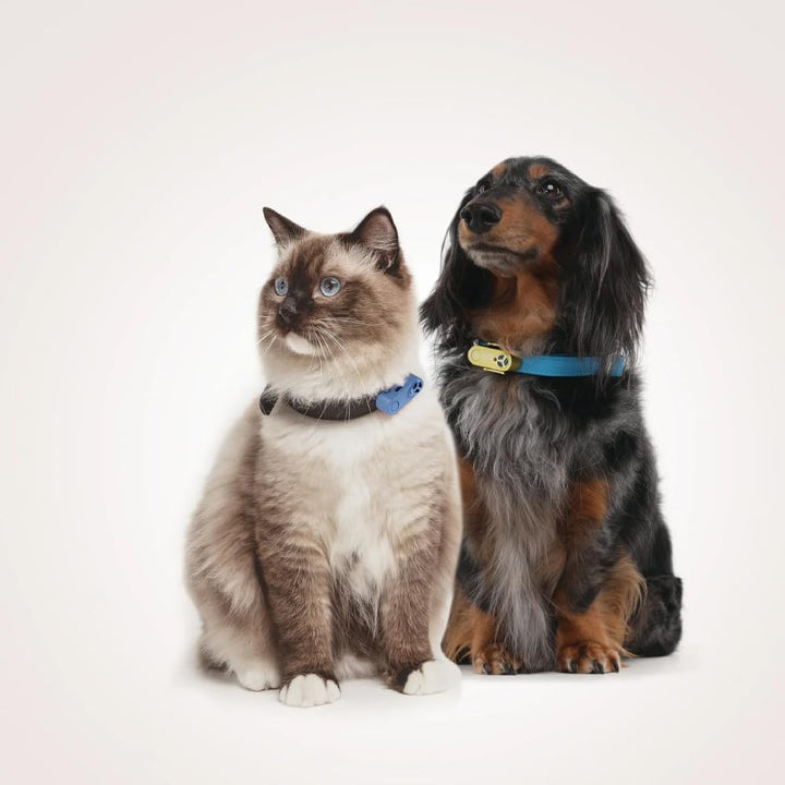 Mini Ultrasonic Tick and Flea Device Neon Yellow | Fragrance-Free Rechargeable Protection for Cats and Dogs | Nightlight Function | on Collar and Harness | Safety in Nature and Cities