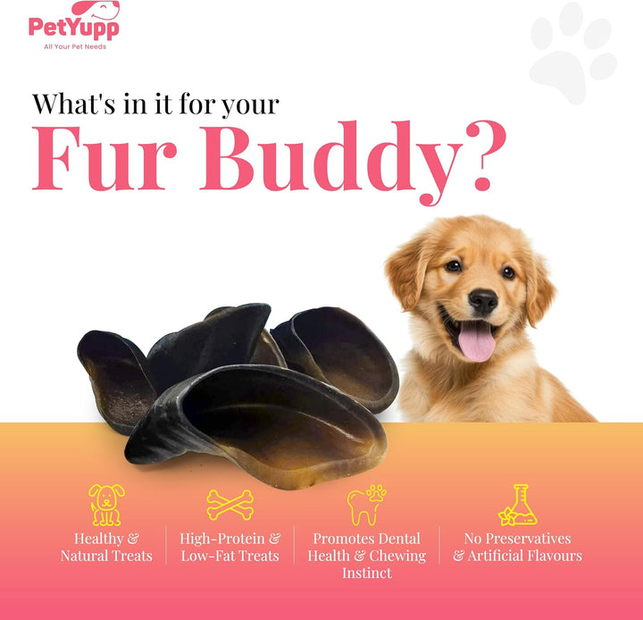 Buffalo Hooves for Dogs | Pack of 5 | Natural, High Protein & Low Fat Dog Treats for Small, Medium & Large Dogs | Rawhide Alternatives & Additives Free Dog Chews for Aggressive Chewers