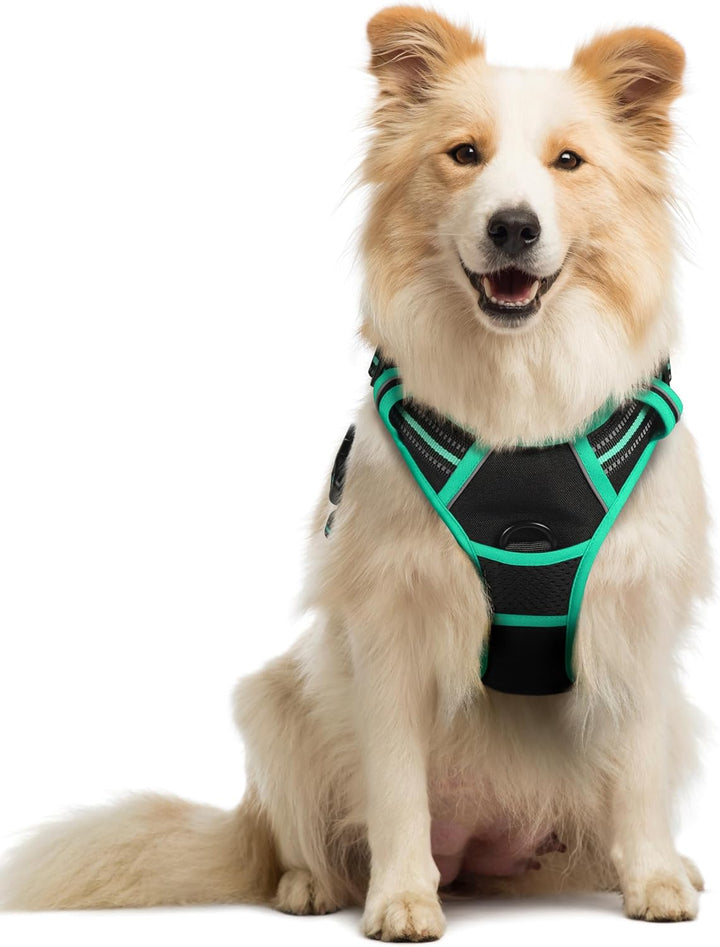 Dog Harness No Pull with 2 Leash Clips, Adjustable Soft Padded, Reflective Oxford No Choke Pet Vest with Easy Control Handle for Large Dogs, Black, L