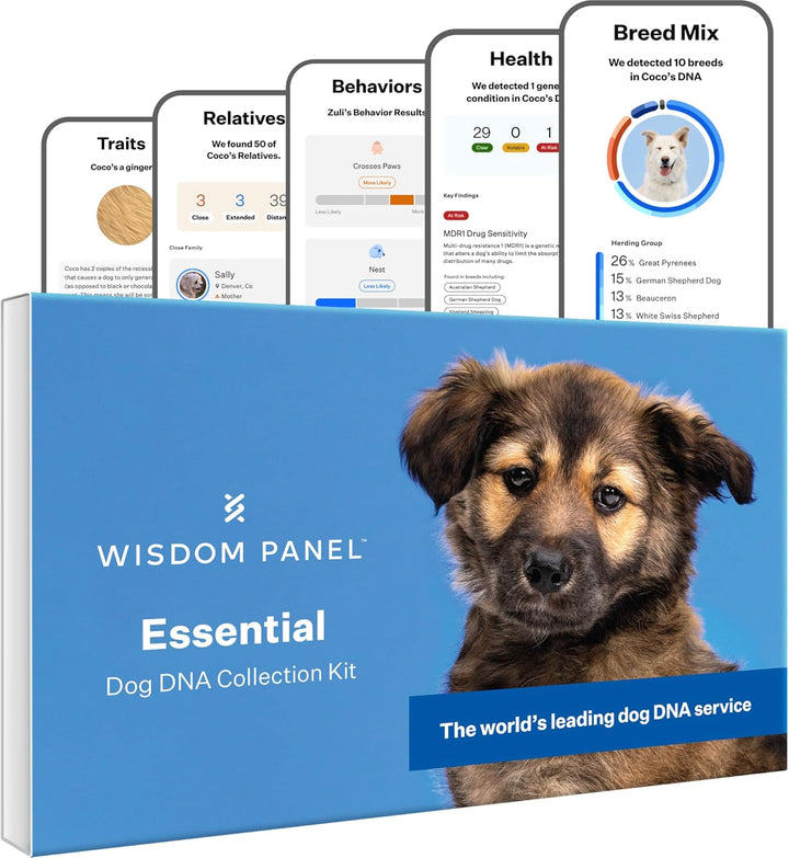 Health Essential Dog DNA Kit | Most Accurate Test | 365+ Breeds | 30 Genetic Health Conditions | 50+ Traits, Relatives, Ancestry | Pack of 1