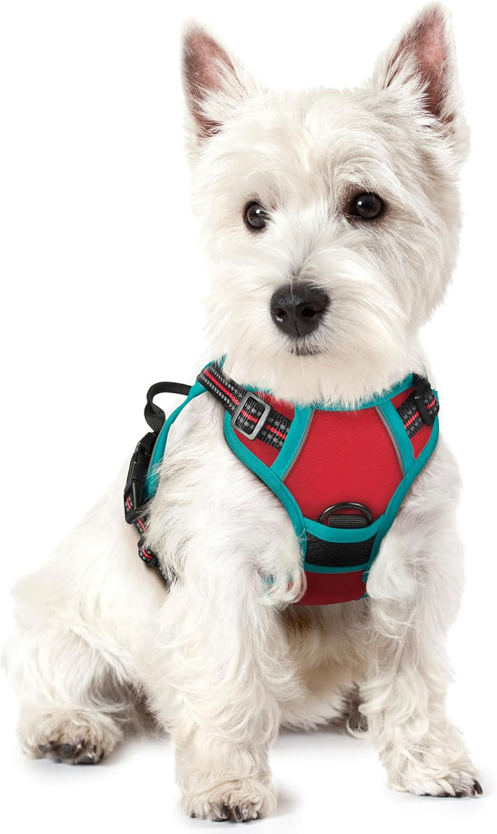 Dog Harness No Pull with 2 Leash Clips, Adjustable Soft Padded, Reflective Oxford No Choke Pet Vest with Easy Control Handle for Large Dogs, Black, L