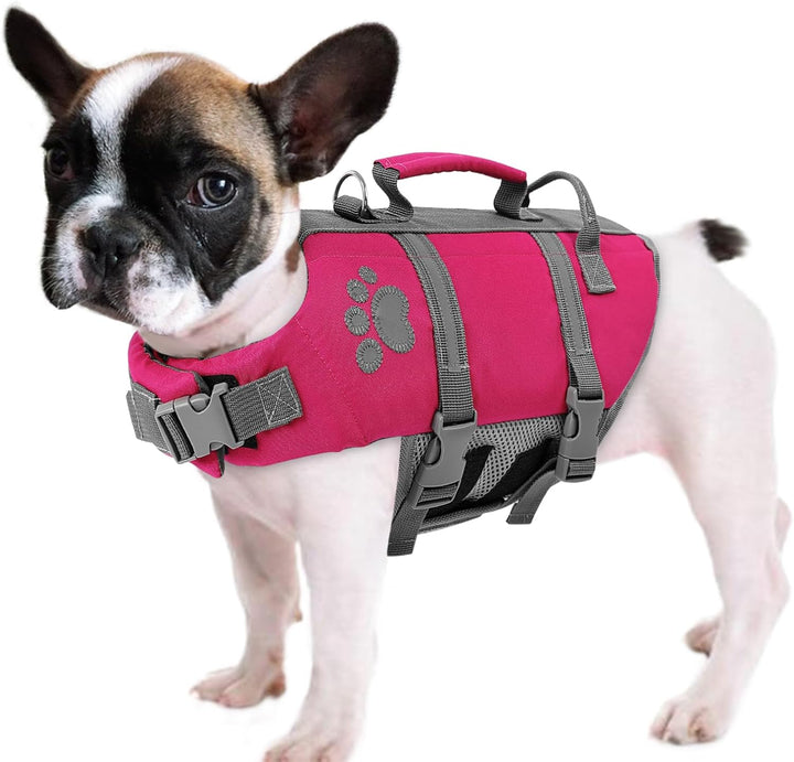 XS Dog Life Jacket, Puppy Life Jackets for Small Dogs, Small Doggie Life Vest for Swimming, Lightweight Extra Small Dog Swim Vest with Handle, Puppy Life Vest for Boating, Cat Lifevest