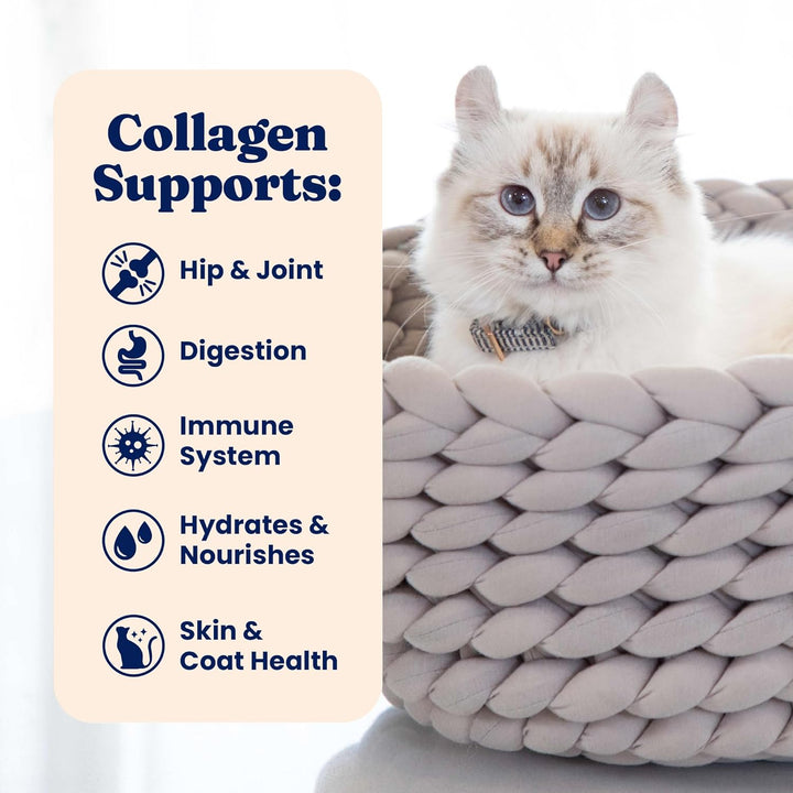 Bone Broth Cat Food Topper - Limited Ingredient Lickable Cat Broth Pouches W/Tuna Protein Shreds & Collagen for Hydration & Gut Support - Easy to Serve Gravy for Cats Meal Topper - 12Ct